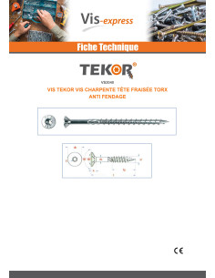 Vis charpente TEKOR Tête fraisée Cranté TORX T40 10X100... 2