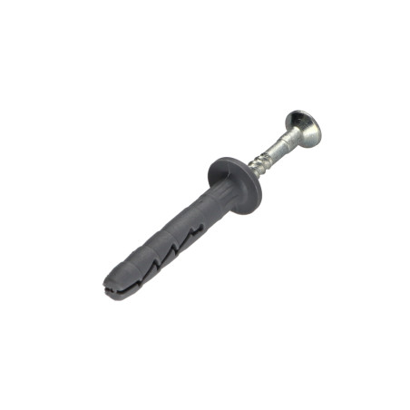 1 x Cheville Clou Vis RAWLPLUG Tête plate Large 6X40