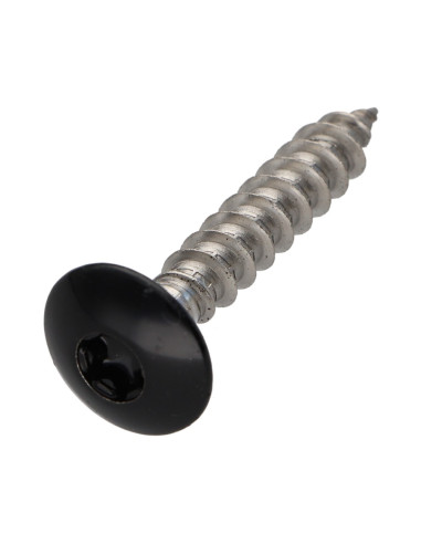 1 x Vis Penture 6X35 Filetée sur 30 TORX T30...