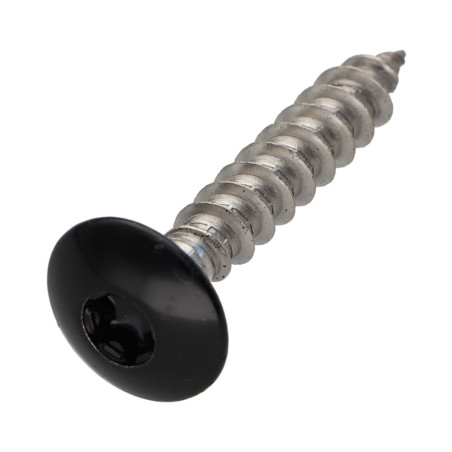 1 x Vis Penture 6X35 Filetée sur 30 TORX T30 Inox A2 Laqué noir RAL9005 noir foncé