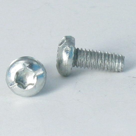1 x Vis autotaraudeuse Tête cylindrique TC TORX Filetée sur Fendue 5X12 Cranté Acier zingué