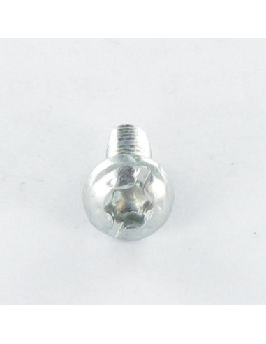 1 x Vis autotaraudeuse Tête cylindrique TC TORX...