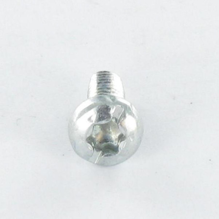 1 x Vis autotaraudeuse Tête cylindrique TC TORX Filetée sur Fendue 5X12 Cranté Acier zingué