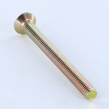 1 x Vis métaux Tête fraisée bombée TFB Fendue M6X25 Bichromaté