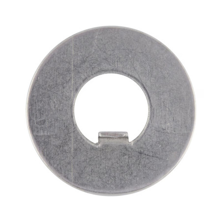 1 x Rondelle de blocage a ergot interieur 20X36X1 Type F 6 Acier brut
