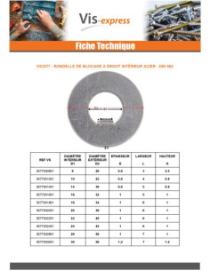 Rondelle de blocage a ergot interieur 42X62X1.2 Type F 8... 2