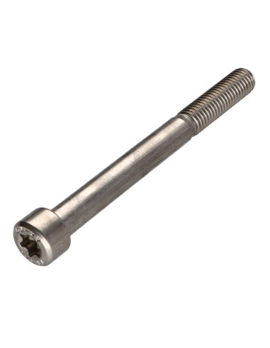 1 x Vis métaux Tête cylindrique TC TORX T50...