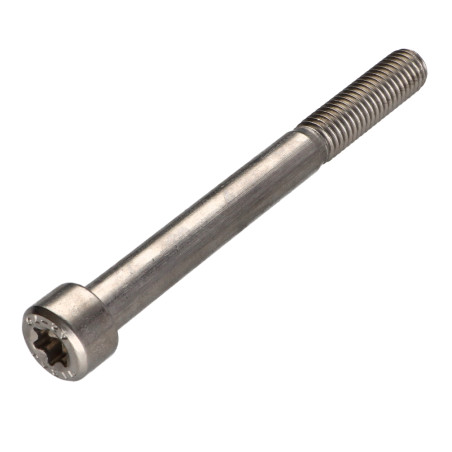 1 x Vis métaux Tête cylindrique TC TORX T50 Inox A2 M10X100 Filetée sur 32