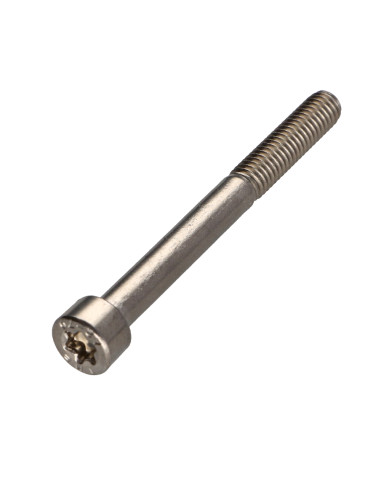 1 x Vis métaux Tête cylindrique TC TORX T20...