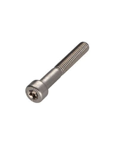 1 x Vis métaux Tête cylindrique TC TORX T20...