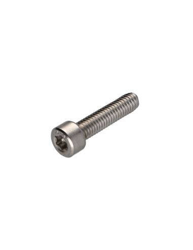 1 x Vis métaux Tête cylindrique TC TORX T10...
