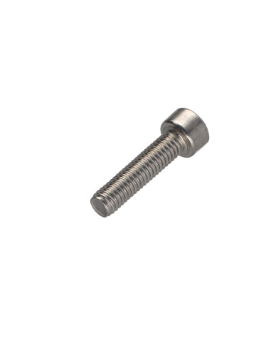 1 x Vis métaux Tête cylindrique TC TORX T10...
