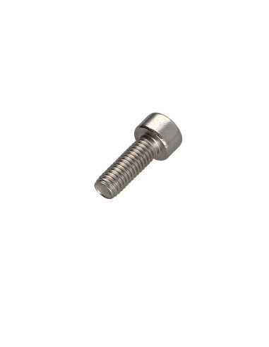 1 x Vis métaux Tête cylindrique TC TORX T45...