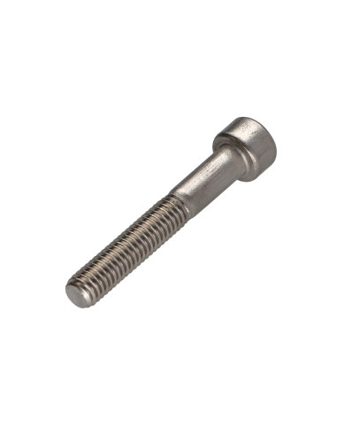 1 x Vis métaux Tête cylindrique TC TORX T20...