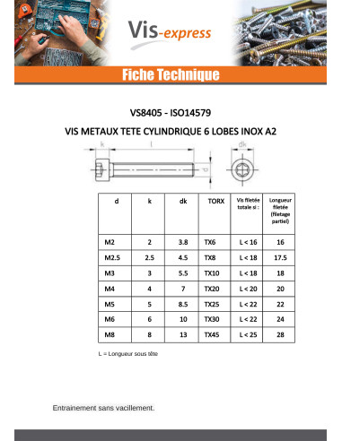 1 x Vis métaux Tête cylindrique TC TORX T25...