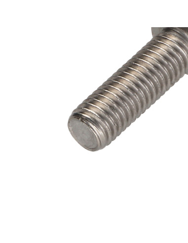 1 x Vis métaux Tête cylindrique TC TORX T50...