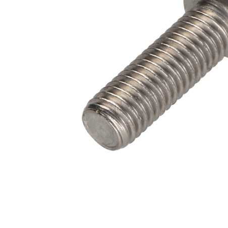 1 x Vis métaux Tête cylindrique TC TORX T50 Inox A2 M10X40 Filetage total