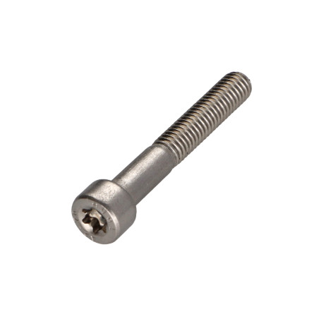 1 x Vis métaux Tête cylindrique TC TORX T25 Inox A2 M5X30 Filetée sur 22