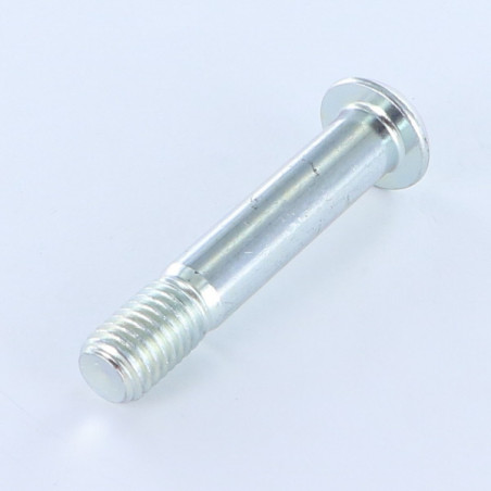 1 x Vis métaux BHC (Tête Bombée Hexagonal creux) M10X50 Filetée sur 13 Classe 10.9 Clé de 6 HC6 Acier zingué