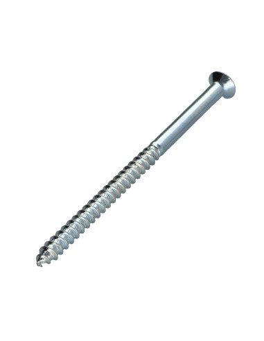 1 x Vis bois Tête fraisée Pozi N°3 6X100 Acier...