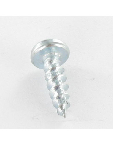 1 x VBA3 Tête ronde TR TORX 3X15 TORX T10 Acier...