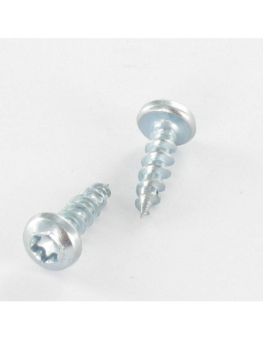 1 x VBA3 Tête ronde TR TORX 5X40 TORX T20 Acier...