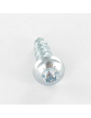 1 x VBA3 Tête ronde TR TORX 5X40 TORX T20 Acier...