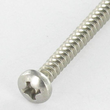 1 x Vis tôle tête cylindrique bombée large Phillips 4.2X6.5 Inox A2