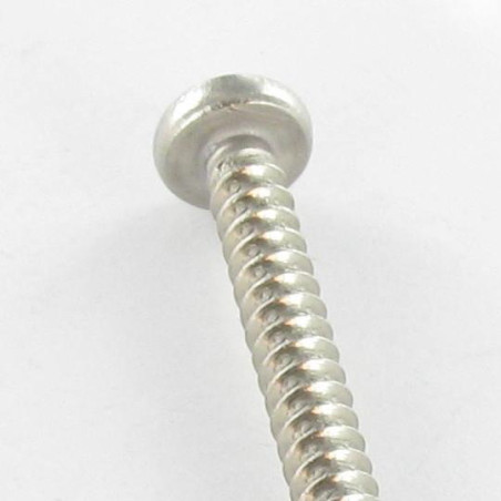 1 x Vis tôle tête cylindrique bombée large Phillips 4.2X6.5 Inox A2