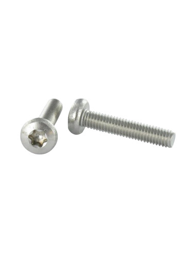 1 x Vis métaux tête cylindrique bombée large...