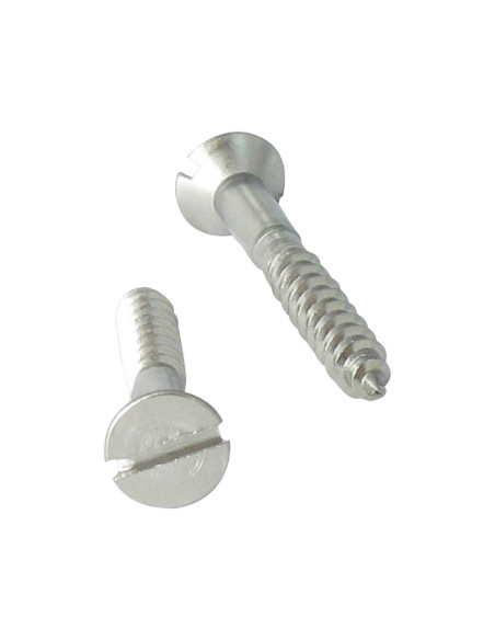 1 x Vis bois Tête fraisée Fendue 3X10 Inox A4 microvis