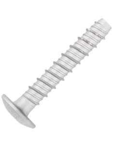 Vis béton Tête Bombée TORX TORX T30 6X60 Acier zingué