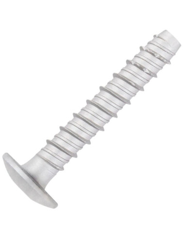 1 x Vis béton Tête Bombée TORX TORX T30 6X50...