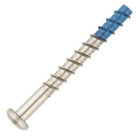 1 x Vis béton Tête cylindrique TC TORX T40 6X50 Bimétal