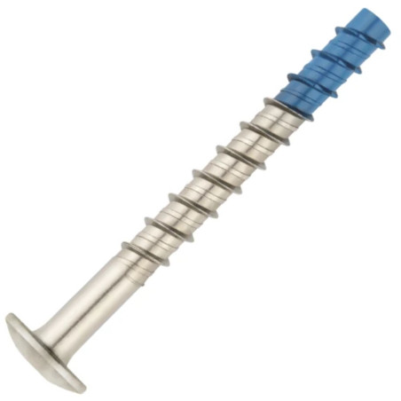 1 x Vis béton Tête Bombée TORX TORX T30 6X40 Bimétal