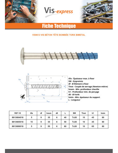 1 x Vis béton Tête Bombée TORX TORX T30 6X40...