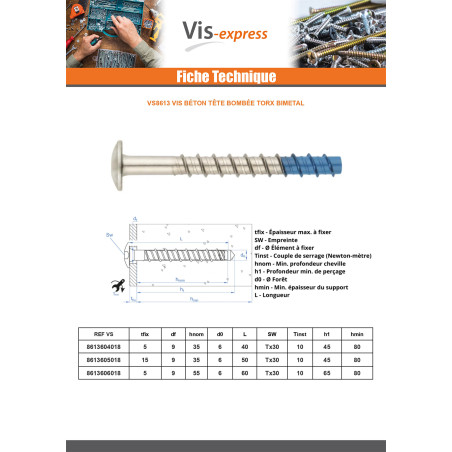 1 x Vis béton Tête Bombée TORX TORX T30 6X40 Bimétal