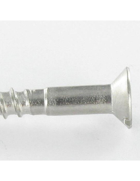 1 x Vis bois Tête fraisée Fendue 4X25 Inox A4