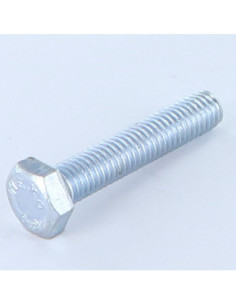 Vis métaux Tête hexagonale TH M8X15 Classe 8.8 Acier zingué