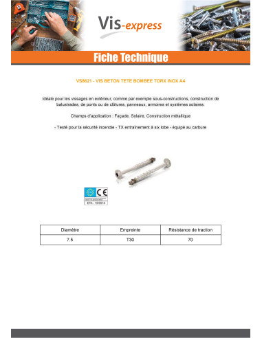 1 x Vis béton Tête Bombée TORX T30 Inox A4 7.5X50