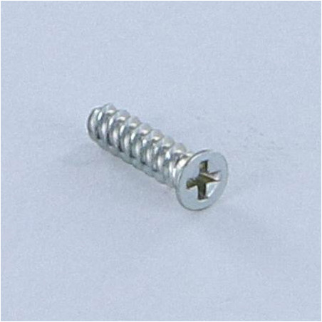 1 x Vis autotaraudeuse Pour Plastique Tête fraisée Phillips n° 0 1.4X6 Acier zingué microvis