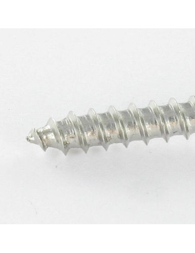1 x Vis bois Tête fraisée Fendue 6X30 Inox A4