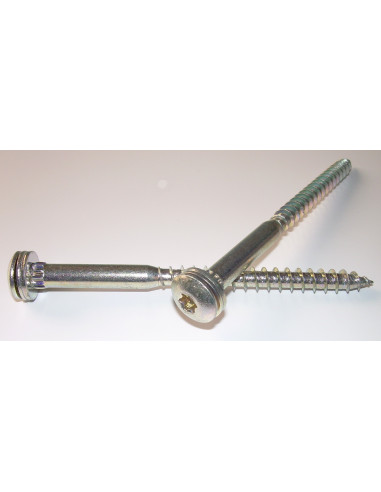 1 x S.POEL 7X100 Filetée sur 60 TORX T30...