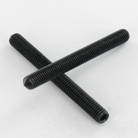 1 x Vis métaux Sans tête six pans creux (sthc) Clé de 2 HC2 M4X5 Bout pointeau Acier zingué noir