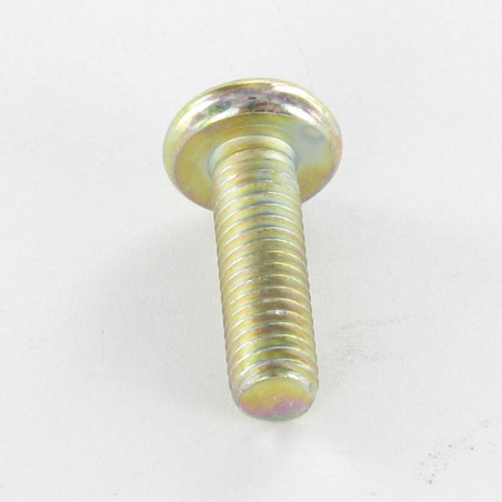 1 x Vis métaux tête cylindrique bombée large Pozi N°2 M5X50 Bichromaté