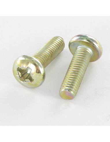 1 x Vis métaux tête cylindrique bombée large...