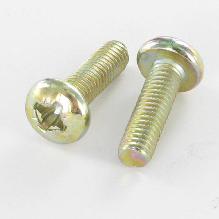1 x Vis métaux tête cylindrique bombée large Pozi N°3 M6X20 Bichromaté