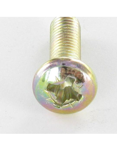 1 x Vis métaux tête cylindrique bombée large...