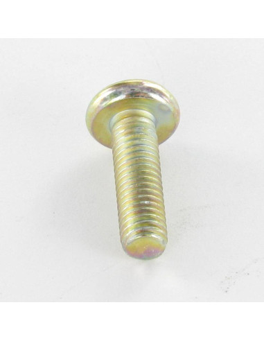 1 x Vis métaux tête cylindrique bombée large...