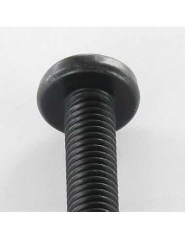 1 x Vis métaux tête cylindrique bombée large...